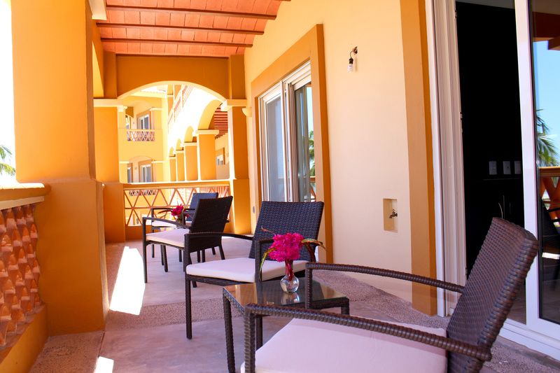 large_IMG_1101-77d6d92e